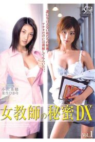 SXBD-017